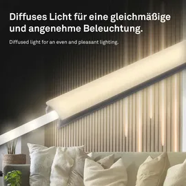 Briloner Pimp your Panel Diffusor Schwarz 1 St. 130 x 1,5 x 1 cm