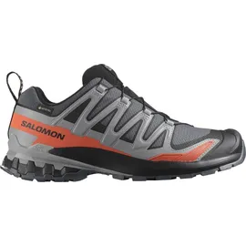 Salomon XA Pro 3D V9 GTX grau