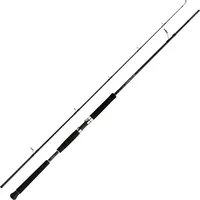 Shimano Beastmaster AX Pilk 2,40m 150-300g 2pc Pilkrute
