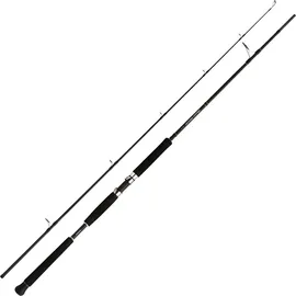 Shimano Beastmaster AX Pilk 2,40m 150-300g 2pc Pilkrute