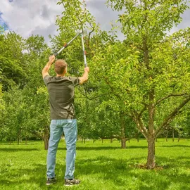 Gardena Astschere TeleCut Basic