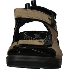 ECCO Offroad Herren nutmeg brown 48