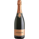 Rosé Trentodoc Jg. uSekt Ferrari.u