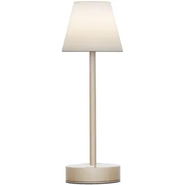 Newgarden Lola Slim Gold