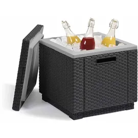 ALLIBERT Ice Cube 40 l graphit