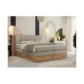 MKS Albero 1 King 160 x 200 cm H3 Beige