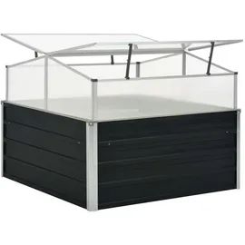 vidaXL Gewächshaus 100 x 100 x 77 cm Anthrazit