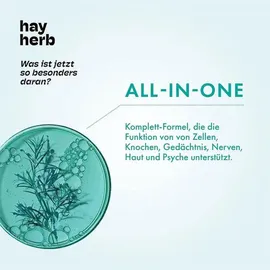 hay herb Longevity Komplex Kapseln 60 Stk.