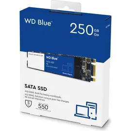 Western Digital Blue 3D NAND 250 GB WDS250G2B0B