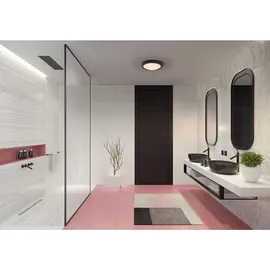 LEDVANCE Bathroom Ceiling Luminaire (4099854103339) Schwarz