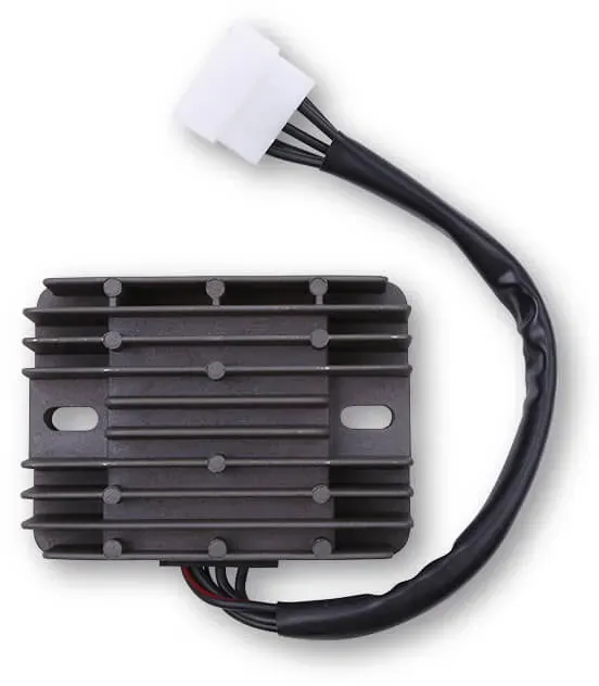 ElectroSport Charge controller ESR 100
