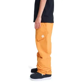 DC Shoes Banshee Schneehose Oriole 14 Jahre