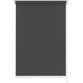 GARDINIA Seitenzug-Rollo 142 x 180 cm grau