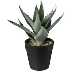 Deko-Pflanze im Topf 20cm ALOE - grün