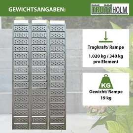 Baumarktplus DREIBREIT By TRUTZHOLM 3-Fach Auffahrrampe Klappbar Länge 215cm