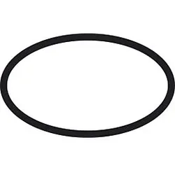 hansgrohe O-Ring 25x1,5mm 98146000
