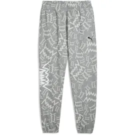Puma Teamjaws Post Game Jogginghose Grau S