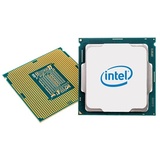 Intel Xeon E-2244G, 4C/8T, 3.80-4.80GHz, tray (CM8068404175105)