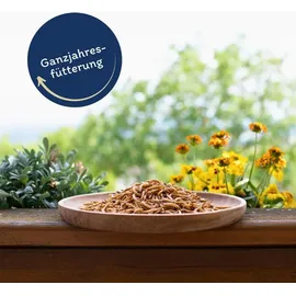 Lyra Pet Mehlwürmer getrocknet 2 x 5 kg