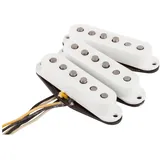Fender Texas Special Strat Set für
