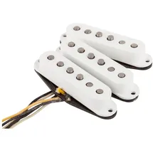 Fender Texas Special Strat Set für