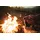 Leatherman Charge Plus TTi Multitool Silber