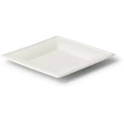 BIOZOYG 100 Stück Einwegteller quadratisch 16x16cm Bio Geschirr Zuckerrohr Teller stabil biologisch abbaubar kompostierbar Bagasse Einwegteller