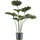 creativ-green Kunstpflanze Strahlenpalme (H 100 cm) - grün, - H 100 cm