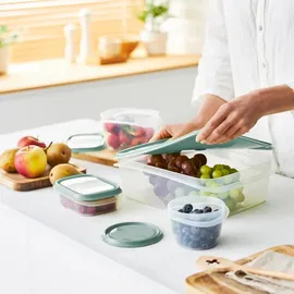Rotho Frischhaltedose grün 6-teiliges Set