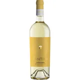 vini fantini Fantini Chardonnay