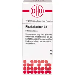 Rhododendron C 6 10 G