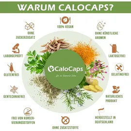 CALOVITAL Gewichtszunahme Kapseln 90 St.