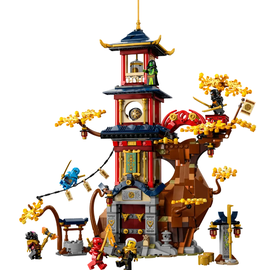 LEGO Ninjago Tempel der Drachenpower 71795