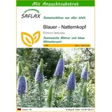 SAFLAX - Blauer - 100 Samen - Mit keimfreiem Anzuchtsubstrat - Echium fastuosa