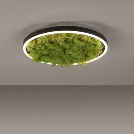 JUST LIGHT. LED-Deckenlampe Green Ritus, Moos dimmbar Ø39,3cm
