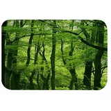 A.Monamour Badematten Badteppiche Badvorleger Natur Landschaft Grüne Bäume Wald Bild Drucken Flanell Absorptionsmittel Anti-Rutsch Zen Yoga Meditation Matten Bad Teppiche Fußmatten Boden Teppich