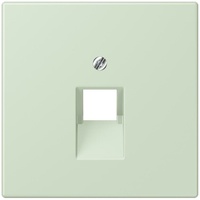 Jung Abdeckung für IAE/UAE LC 969-1 UA 218