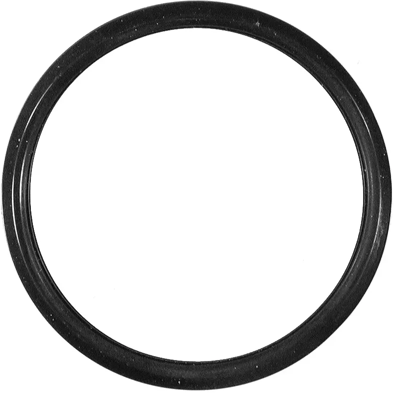 FACET Dichtung, Thermostat 79584 für TOYOTA LEXUS Bentley