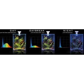 AquaEl Shrimp Set Day & Night", 20 schwarz