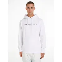 Tommy Jeans Tommy Hilfiger Regular LINEAR LOGO HOODIE (DM0DM17985)