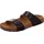 HAFLINGER Bio Andrea Braun 44