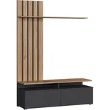 Vicco Wohnwand Harro, Goldkraft Eiche/Anthrazit