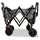 FUXTEC Fuxlife Smarter Bollerwagen FX-CTB800 Grau