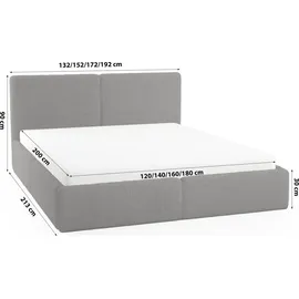 FEDVE Polsterbett Doppelbett Riberia Slim Bett mit Bettkasten 140x200 - Dunkelgrau