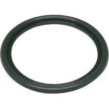 Buderus Boiler Dichtung Boilerdichtung für Warmwasserspeicher Dichtring Wl 130-200 63043454