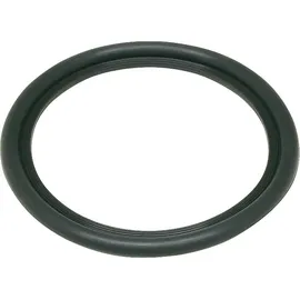 Buderus Boiler Dichtung Boilerdichtung für Warmwasserspeicher Dichtring Wl 130-200 63043454