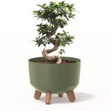 botle Blumentopf mit Füßen Pflanzkübel D 24 cm Kunststoff Grün Töpfe mit Einsatz matt Übertöpfe Geldbaum Kakteen Gummibaum Glücksfeder