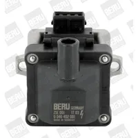 BorgWarner (Beru) (BERU) Zündspule