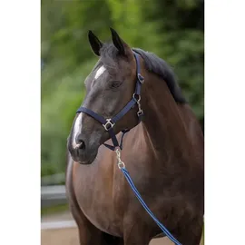Covalliero Nylonhalfter Hippo Pony Marine
