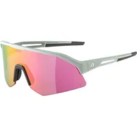 Alpina Sonic HR Q 2 Sportbrille (Größe One Size,